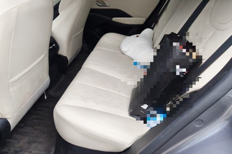 Used BYD Qin PLUS 2025 DM-i Smart Drive 55KM Leading Model Left Rear Seat