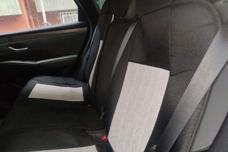 Used BYD Qin PLUS 2025 DM-i Smart Drive 55KM Leading Model Left Rear Seat