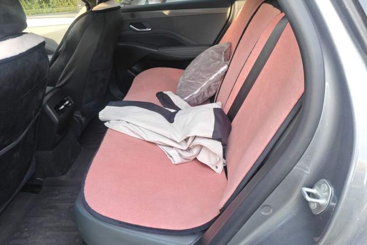 Used BYD Qin PLUS 2025 DM-i Smart Drive 55KM Leading Model Left Rear Seat