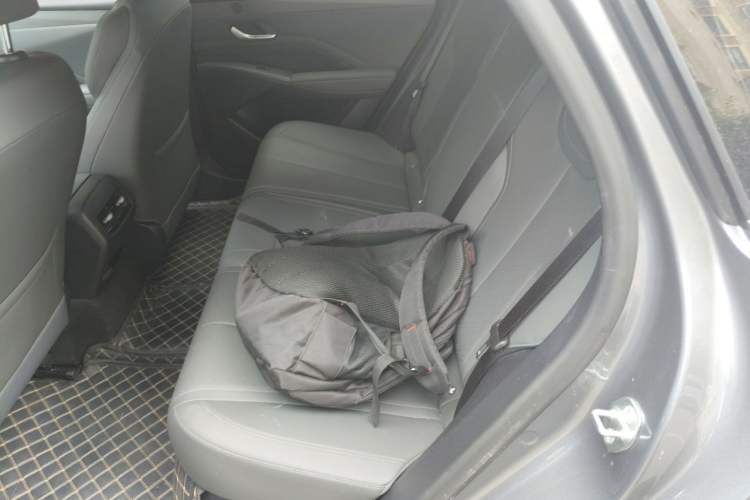 Used BYD Qin PLUS 2025 DM-i Smart Drive 55KM Leading Model Left Rear Seat