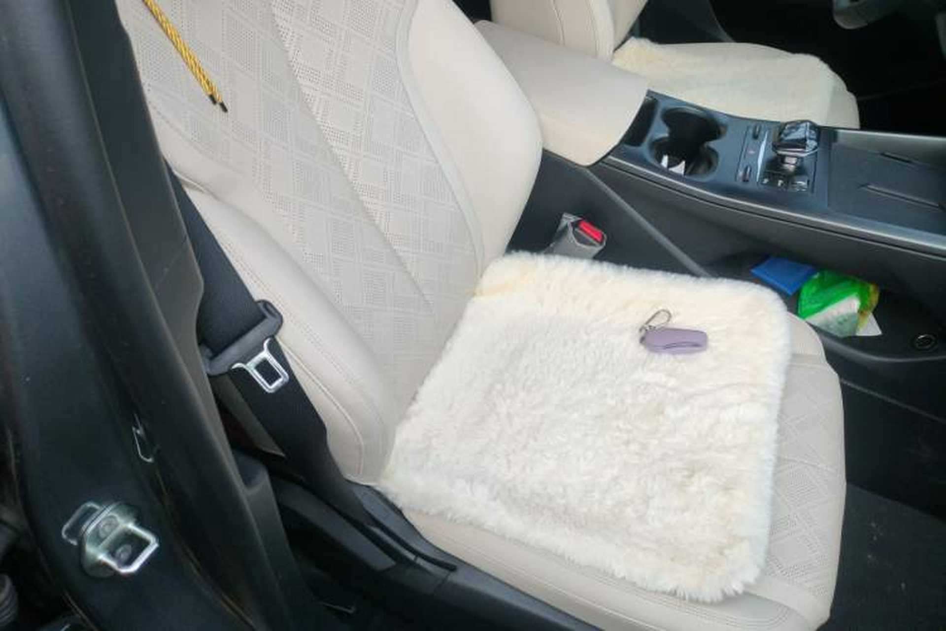 Used BYD Qin PLUS 2025 DM-i Smart Drive 55KM Leading Model Right Front Seat