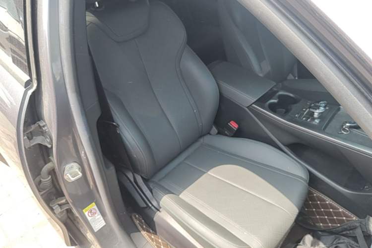 Used BYD Qin PLUS 2025 DM-i Smart Drive 55KM Leading Model Right Front Seat