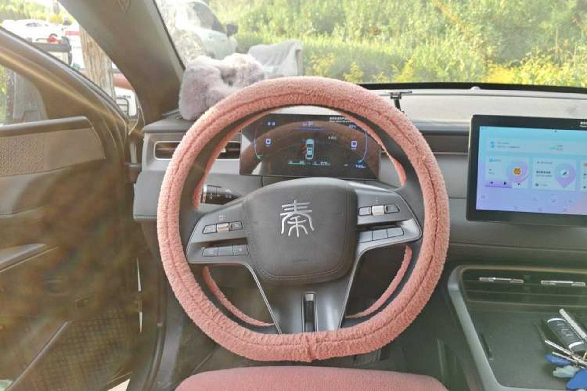 Used BYD Qin PLUS 2025 DM-i Smart Drive 55KM Leading Model Steering Wheel