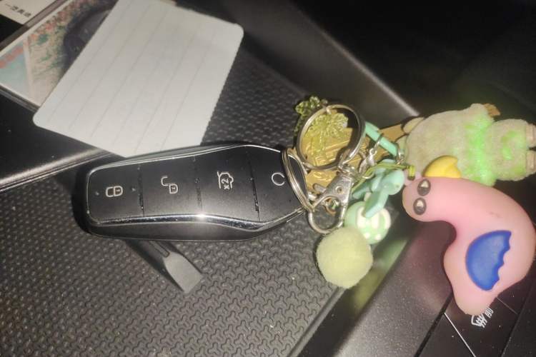 Used BYD Qin PLUS  Vehicle Key