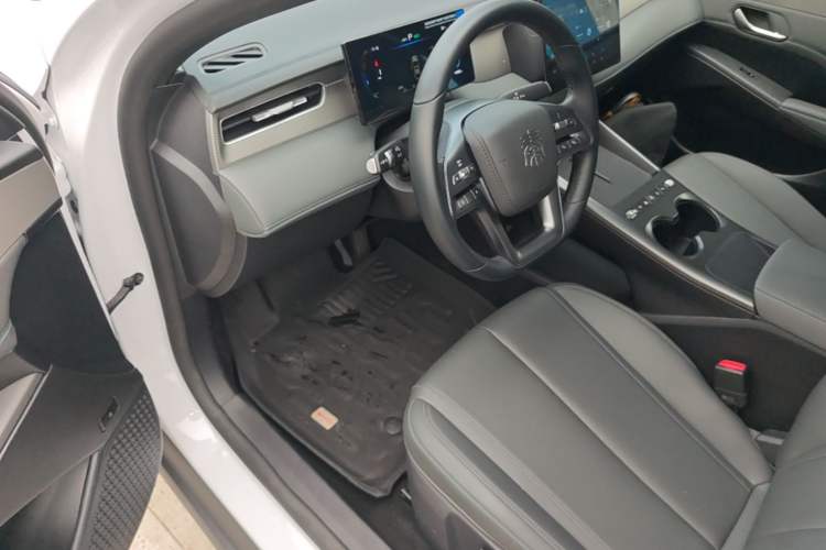 Used BYD Qin PLUS  Driver Seat