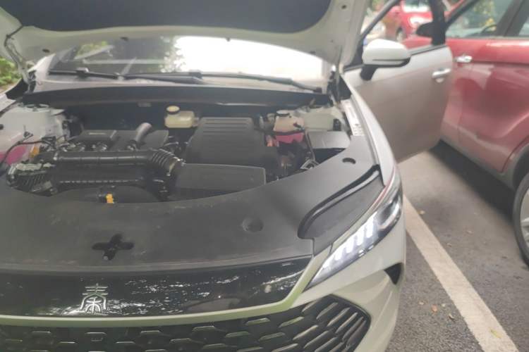 Used BYD Qin PLUS 2025 DM-i Smart Drive 55KM Leading Model Engine Bay Left