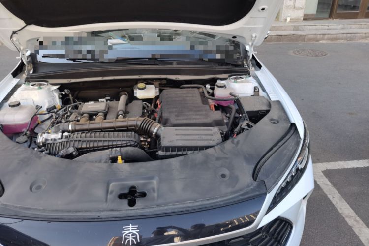 Used BYD Qin PLUS 2025 DM-i Smart Drive 55KM Leading Model Engine Bay Left