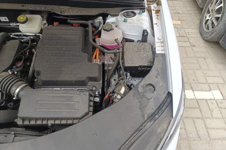 Used BYD Qin PLUS 2025 DM-i Smart Drive 55KM Leading Model Engine Bay Left