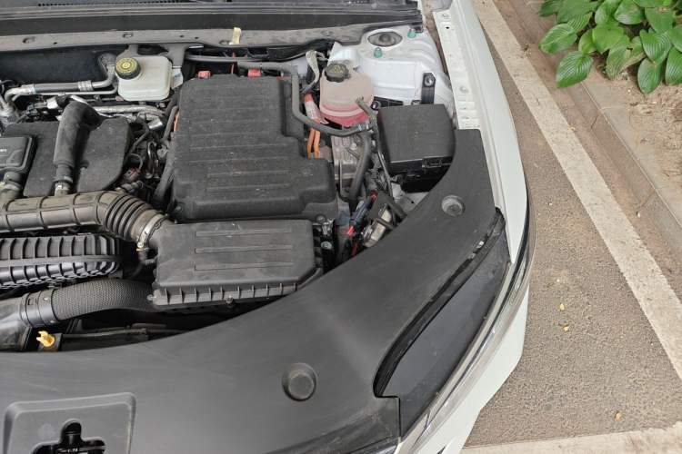 Used BYD Qin PLUS 2025 DM-i Smart Drive 55KM Leading Model Engine Bay Left