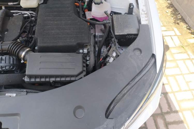 Used BYD Qin PLUS 2025 DM-i Smart Drive 55KM Leading Model Engine Bay Left