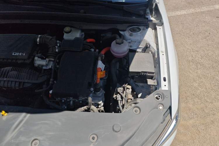 Used BYD Qin PLUS 2025 DM-i Smart Drive 55KM Leading Model Engine Bay Left