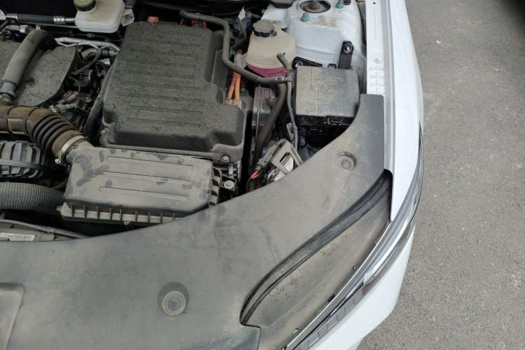 Used BYD Qin PLUS 2025 DM-i Smart Drive 55KM Leading Model Engine Bay Left