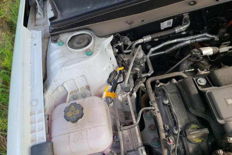 Used BYD Qin PLUS 2025 DM-i Smart Drive 55KM Leading Model Engine Bay Right