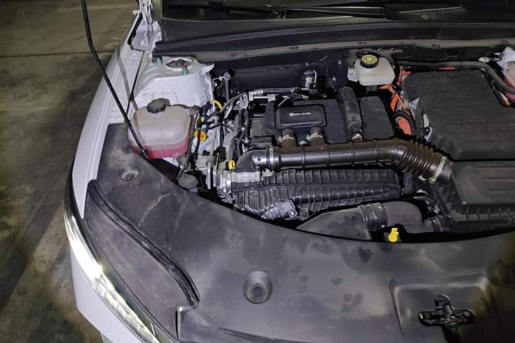 Used BYD Qin PLUS 2025 DM-i Smart Drive 55KM Leading Model Engine Bay Right