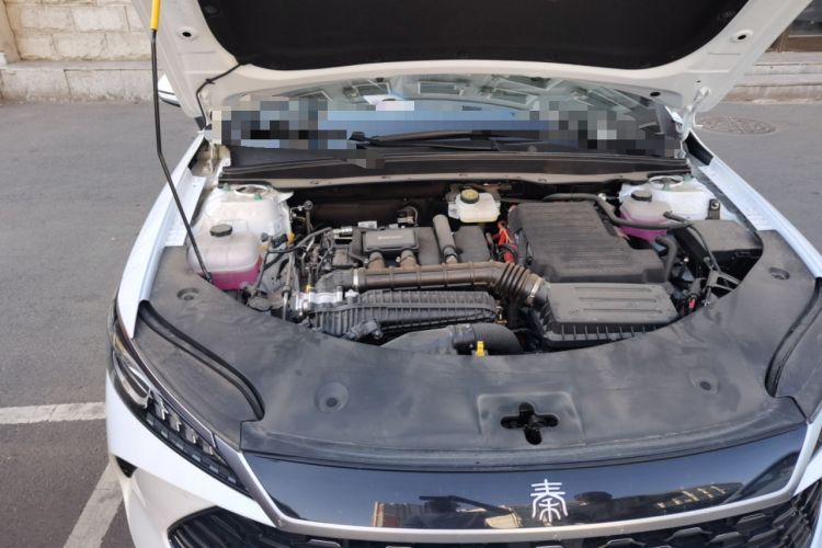 Used BYD Qin PLUS 2025 DM-i Smart Drive 55KM Leading Model Engine Bay Right