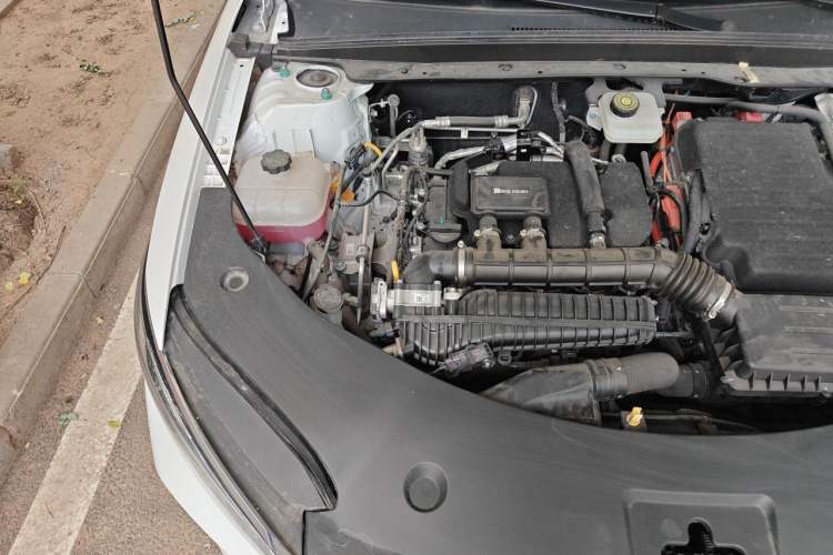 Used BYD Qin PLUS 2025 DM-i Smart Drive 55KM Leading Model Engine Bay Right