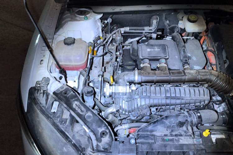 Used BYD Qin PLUS 2025 DM-i Smart Drive 55KM Leading Model Engine Bay Right