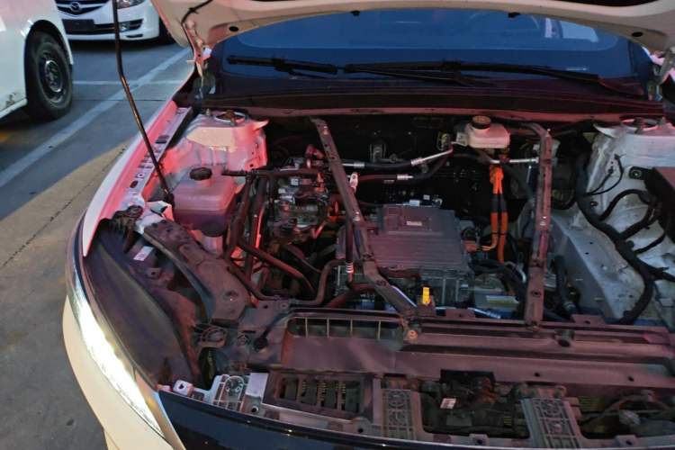 Used BYD Qin PLUS 2025 EV Smart Drive Edition 510KM Leading Model Engine Bay Right