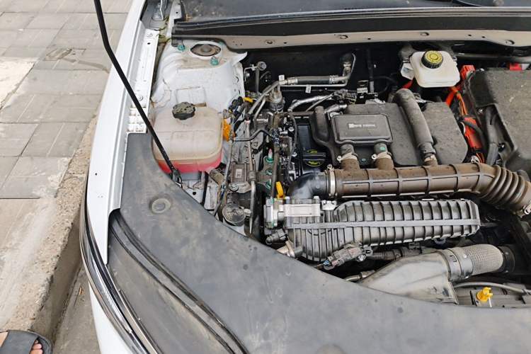 Used BYD Qin PLUS 2025 DM-i Smart Drive 55KM Leading Model Engine Bay Right