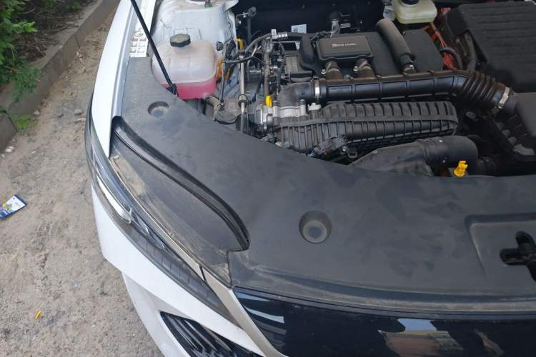 Used BYD Qin PLUS 2025 DM-i Smart Drive 55KM Leading Model Engine Bay Right