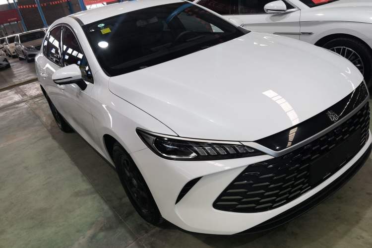 Used BYD Qin PLUS 2025 DM-i Smart Drive 55KM Leading Model Exterior 1