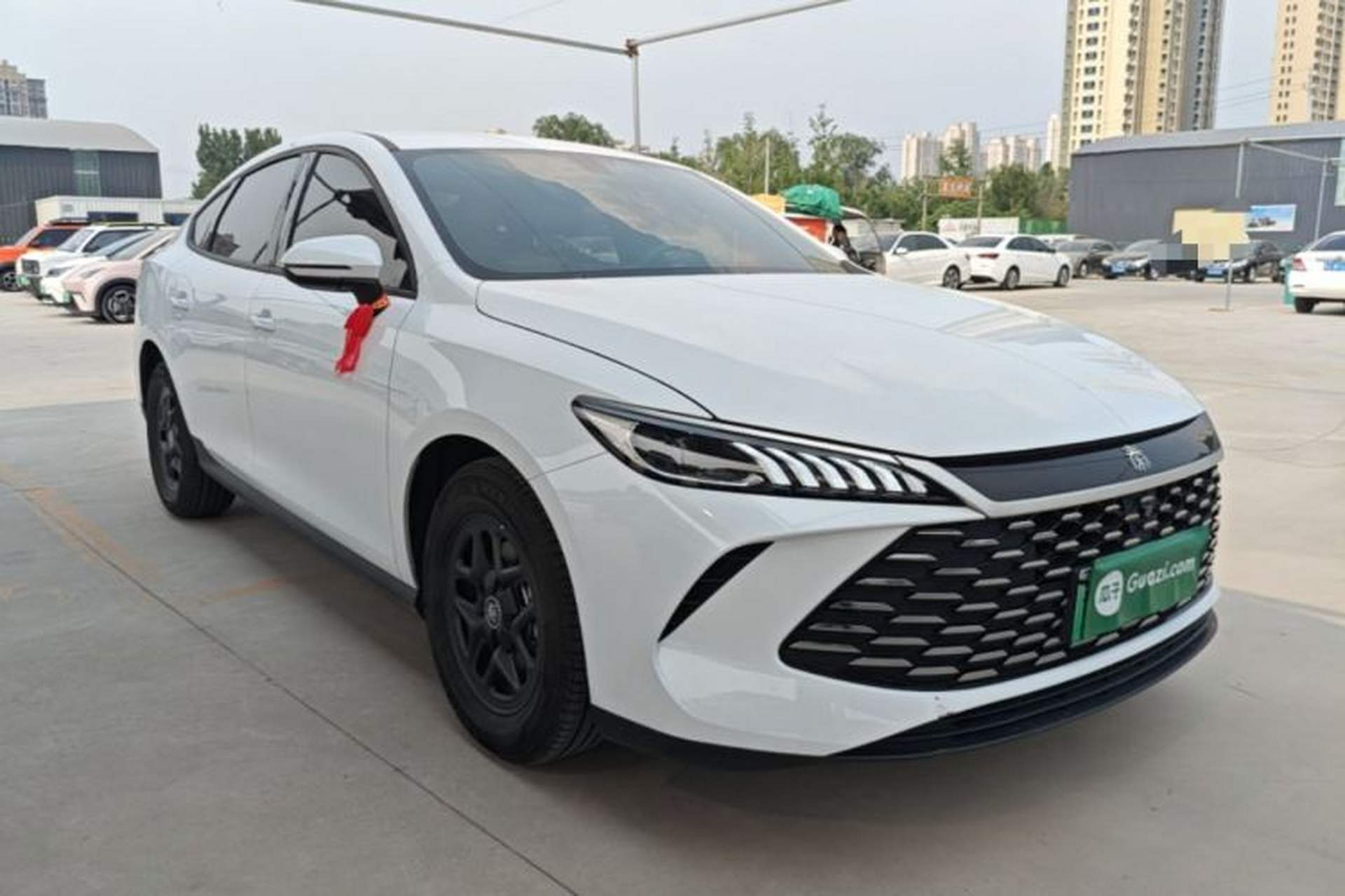 Used BYD Qin PLUS 2025 DM-i Smart Drive 55KM Leading Model Exterior 1