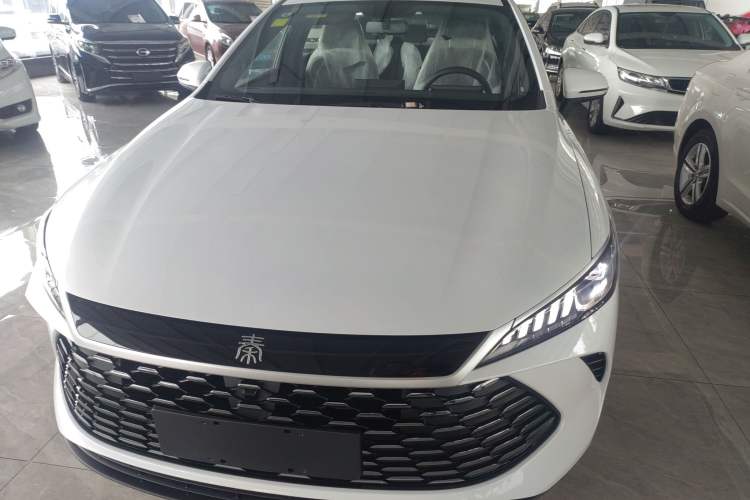 Used BYD Qin PLUS 2025 DM-i Smart Drive 55KM Leading Model Exterior 1