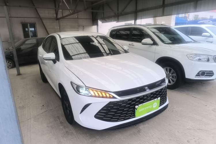 Used BYD Qin PLUS 2025 DM-i Smart Drive 55KM Leading Model Exterior 1