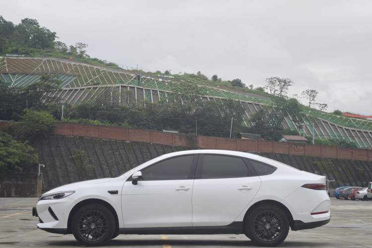 Used BYD Qin PLUS 2025 EV Smart Drive Edition 420KM Leading Model Exterior 2