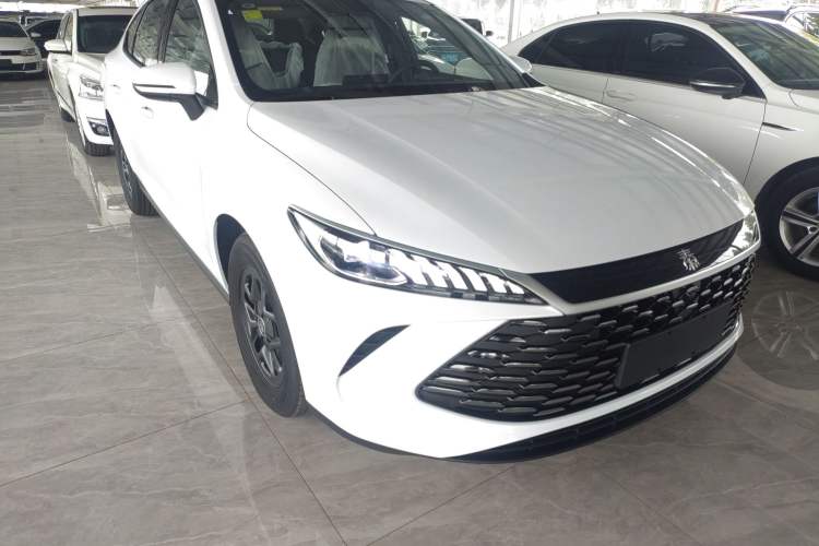 Used BYD Qin PLUS 2025 DM-i Smart Drive 55KM Leading Model Exterior 2