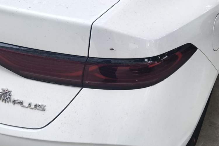 Used BYD Qin PLUS 2025 DM-i Smart Drive 55KM Leading Model Exterior 3
