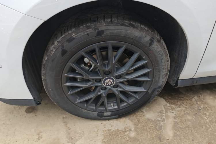 Used BYD Qin PLUS 2025 EV Smart Drive Edition 510KM Leading Model Exterior 4