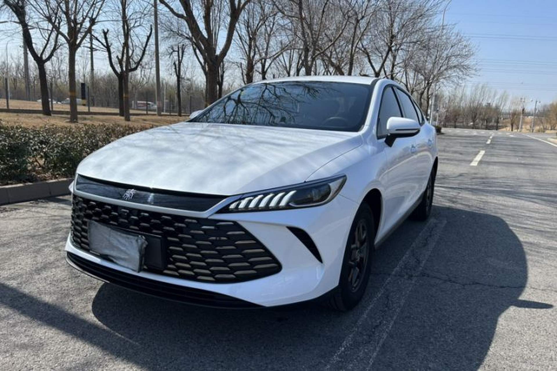 Used BYD Qin PLUS  Exterior 6