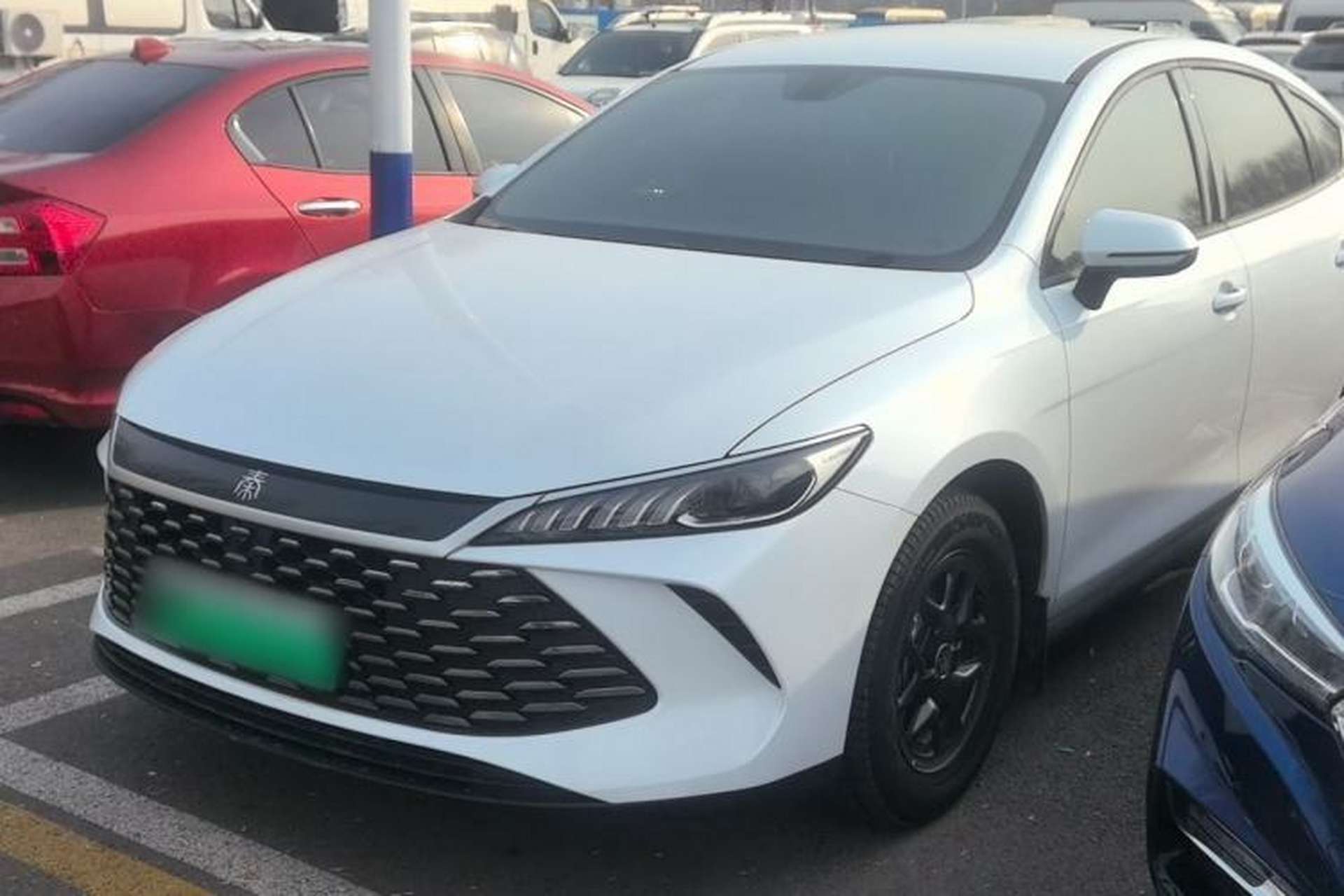 Used BYD Qin PLUS 2025 DM-i Smart Drive 55KM Leading Model Exterior 6