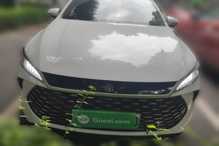 Used BYD Qin PLUS 2025 DM-i Smart Drive 55KM Leading Model Front