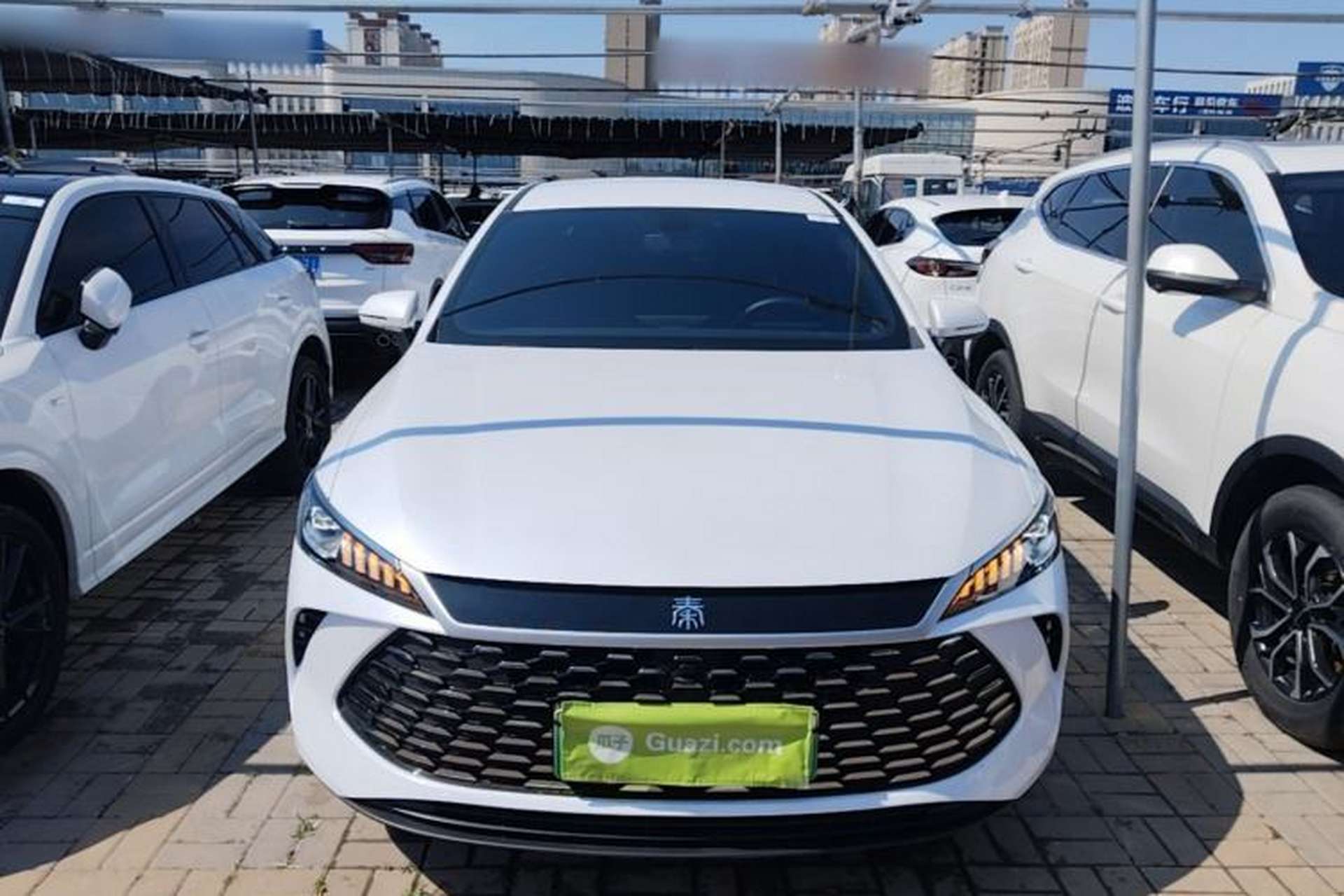 Used BYD Qin PLUS 2025 DM-i Smart Drive 55KM Leading Model Front