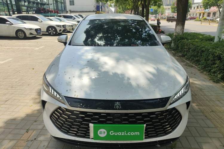Used BYD Qin PLUS 2025 DM-i Smart Drive 55KM Leading Model Front