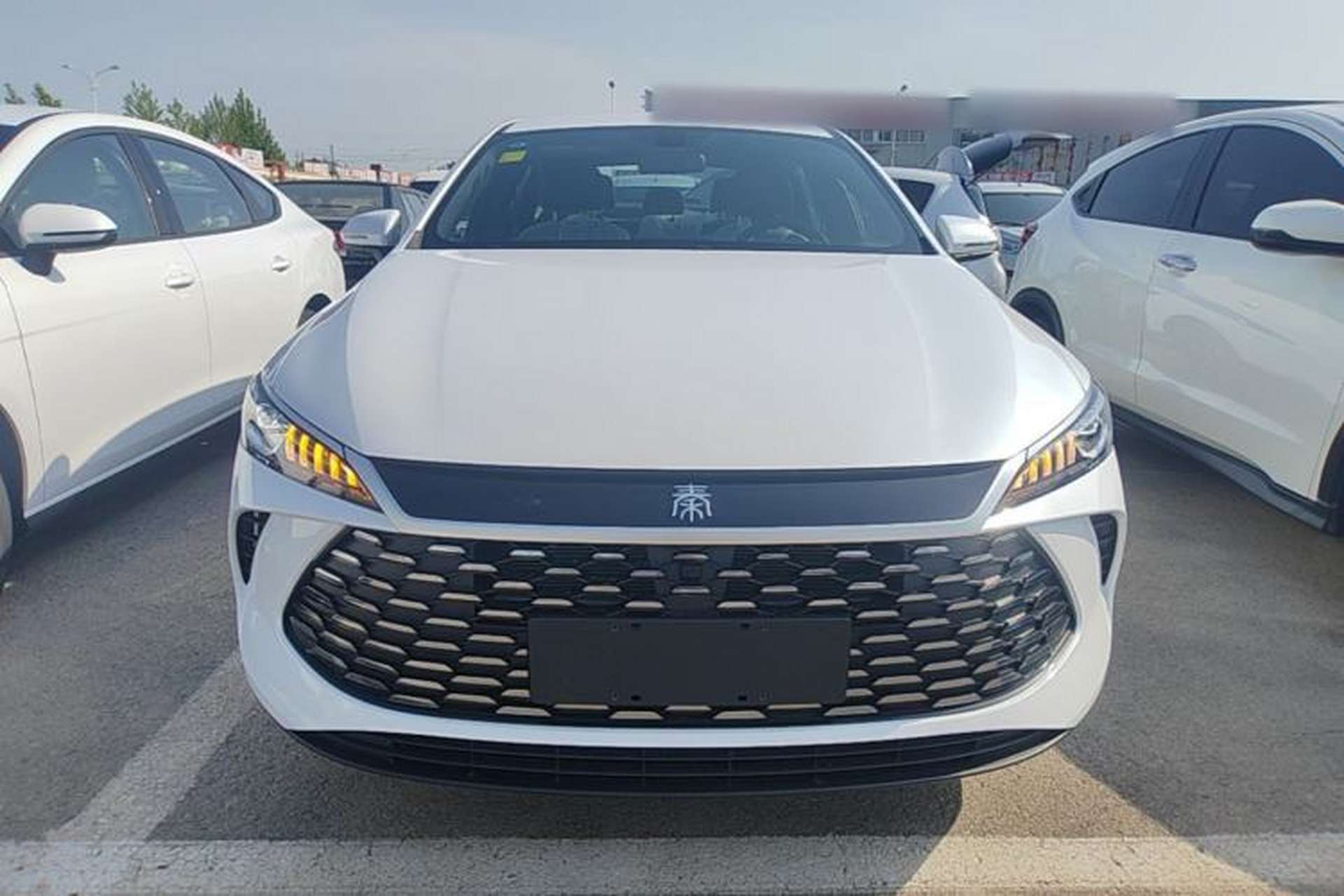 Used BYD Qin PLUS  Front
