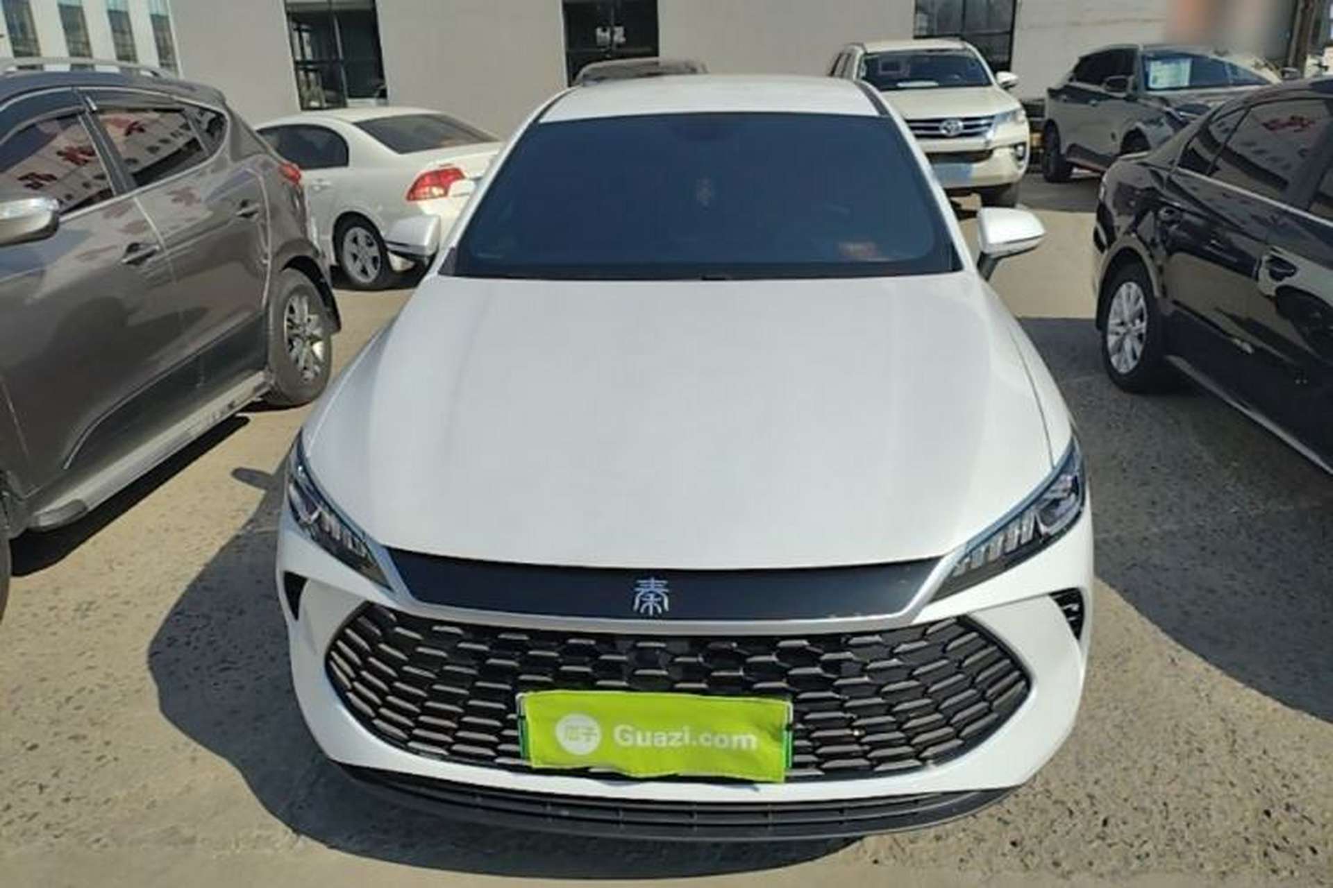 Used BYD Qin PLUS 2025 DM-i Smart Drive 55KM Leading Model Front