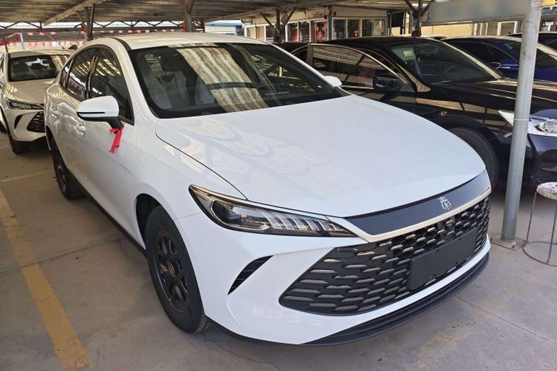Used BYD Qin PLUS  Front Right 45 Deg