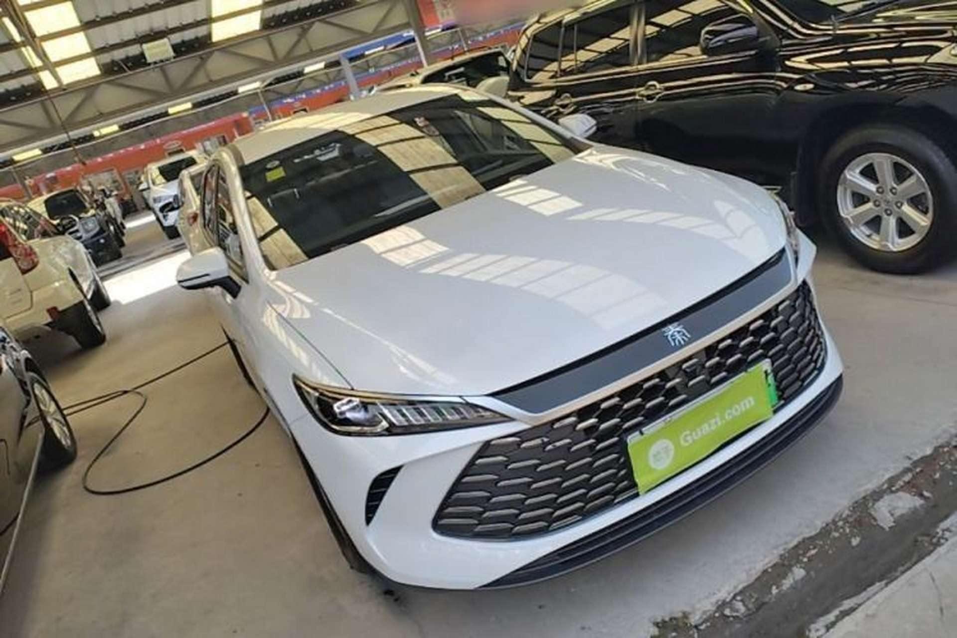 Used BYD Qin PLUS 2025 DM-i Smart Drive 55KM Leading Model Front Right 45 Deg