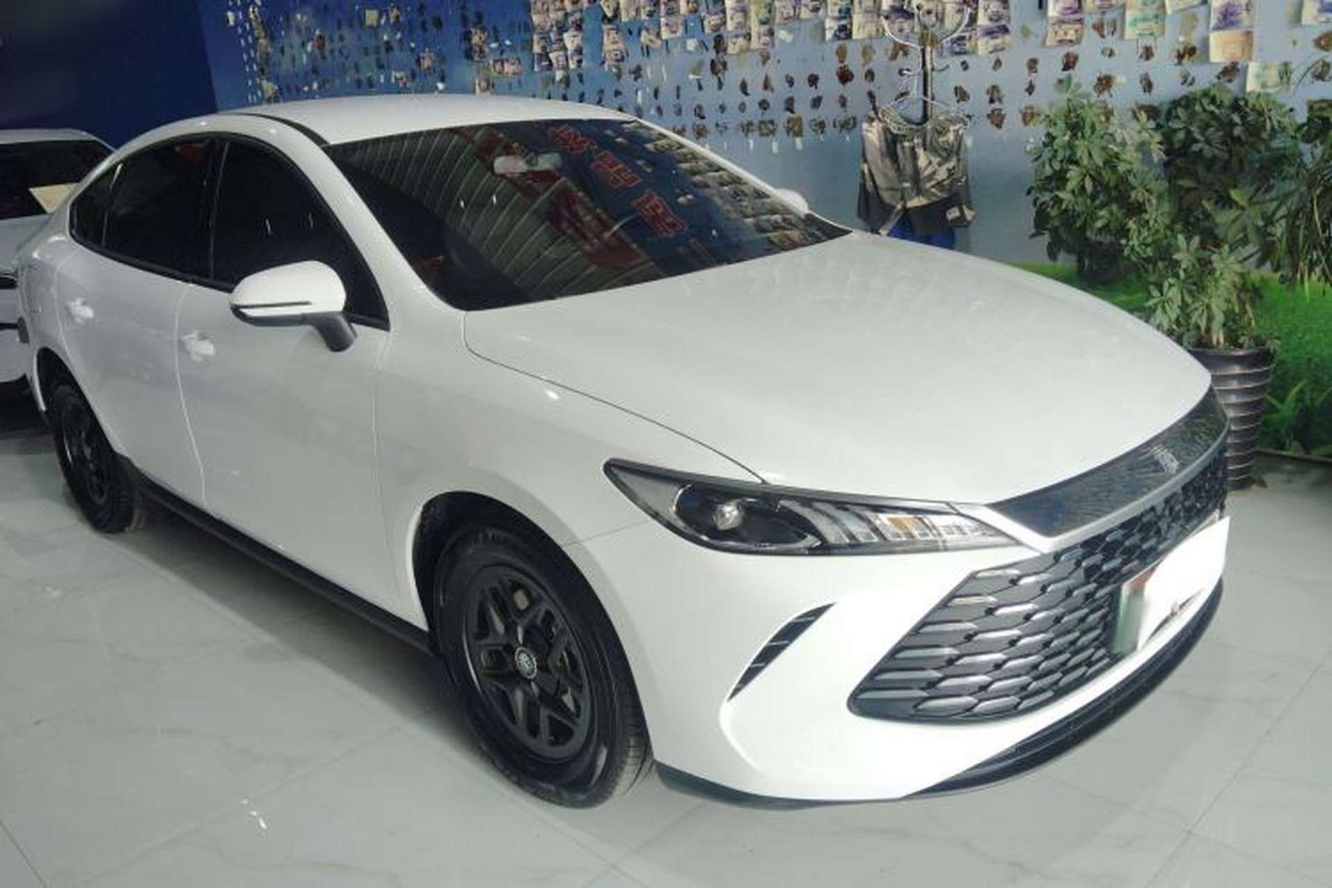 Used BYD Qin PLUS 2025 DM-i Smart Drive 55KM Leading Model Front Right 45 Deg