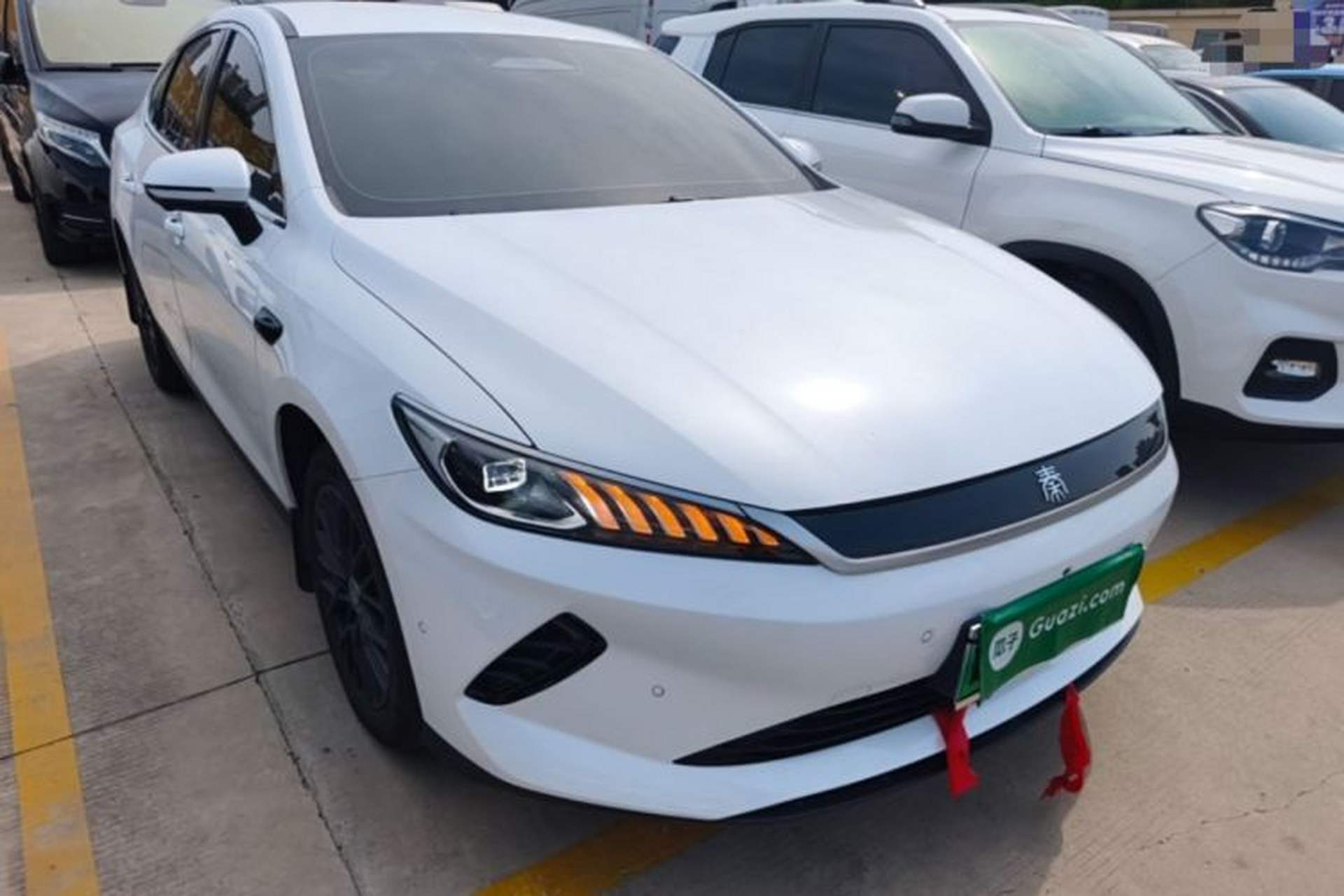 Used BYD Qin PLUS 2025 EV Smart Drive Edition 510KM Leading Model Front Right 45 Deg