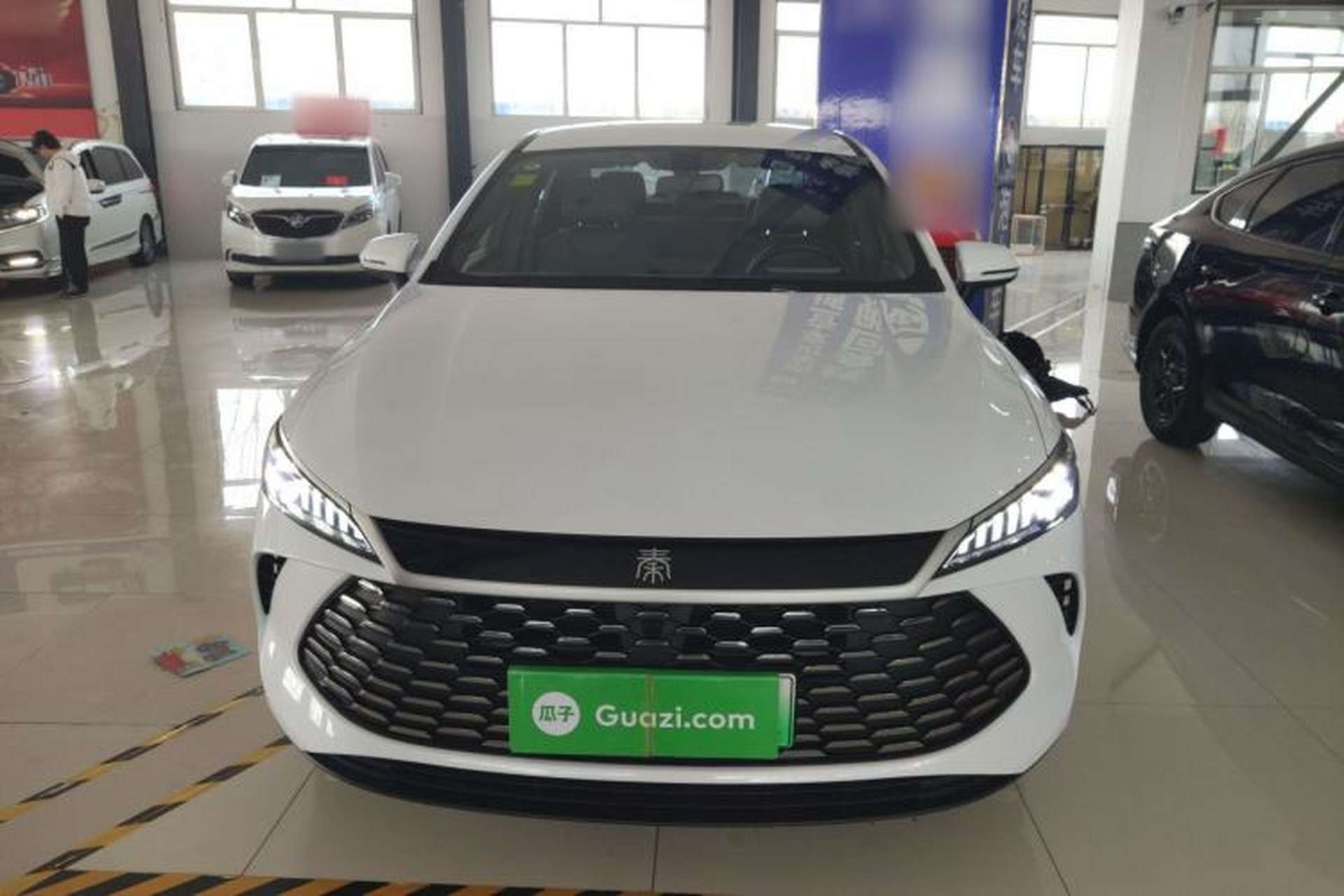 Used BYD Qin PLUS 2025 DM-i Smart Drive 55KM Leading Model Front