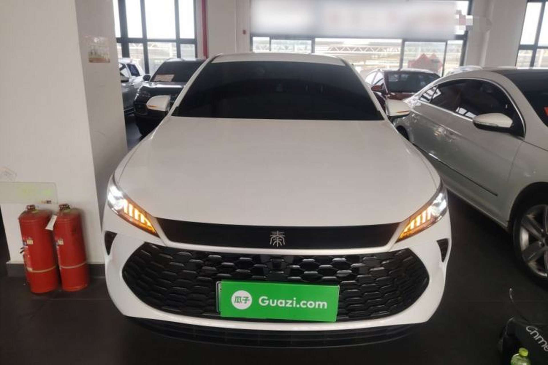 Used BYD Qin PLUS 2025 DM-i Smart Drive 55KM Leading Model Front
