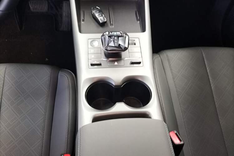 Used BYD Qin PLUS 2025 DM-i Smart Drive 55KM Leading Model Gear Lever