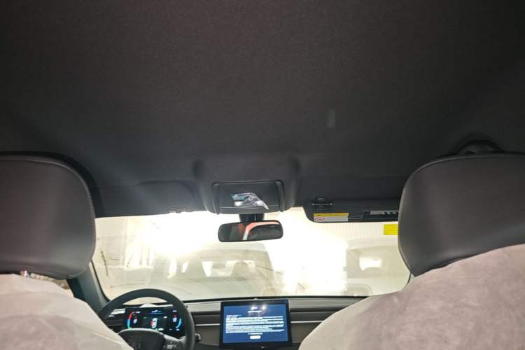Used BYD Qin PLUS  Headliner