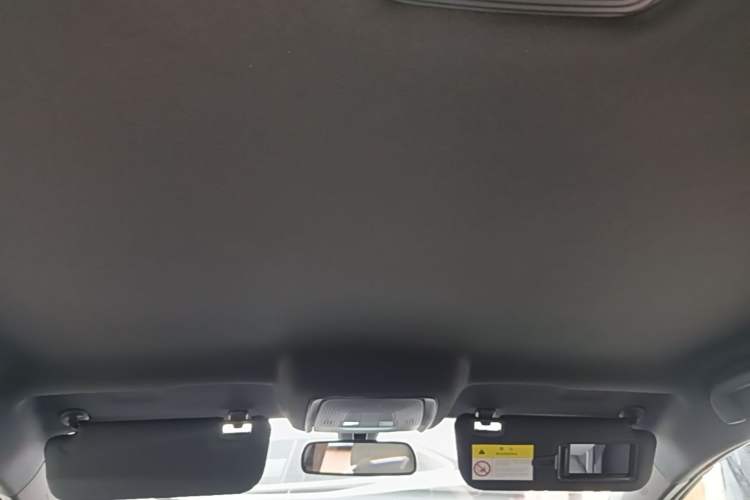Used BYD Qin PLUS  Headliner