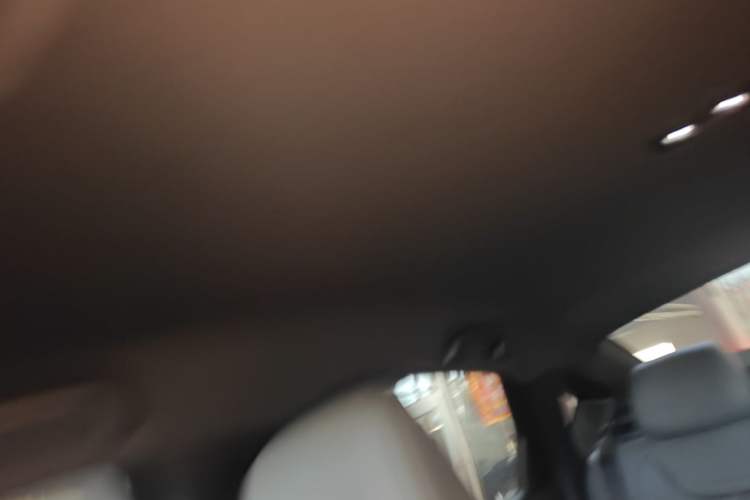 Used BYD Qin PLUS  Headliner