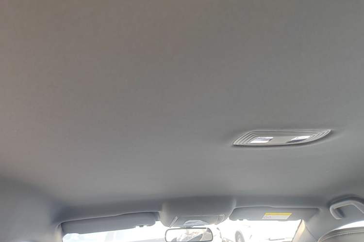 Used BYD Qin PLUS  Headliner